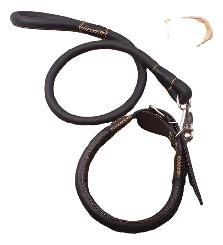 Leather leash & collar
