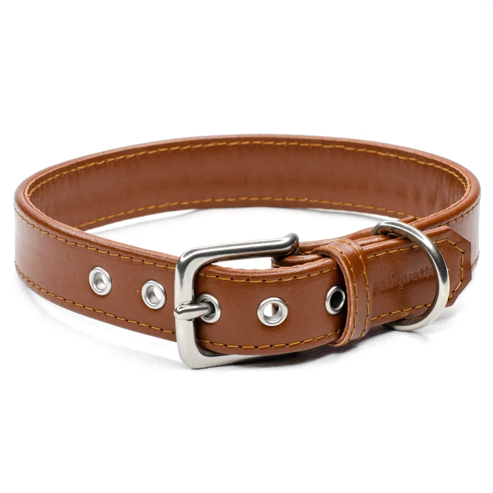 Dog studded collar