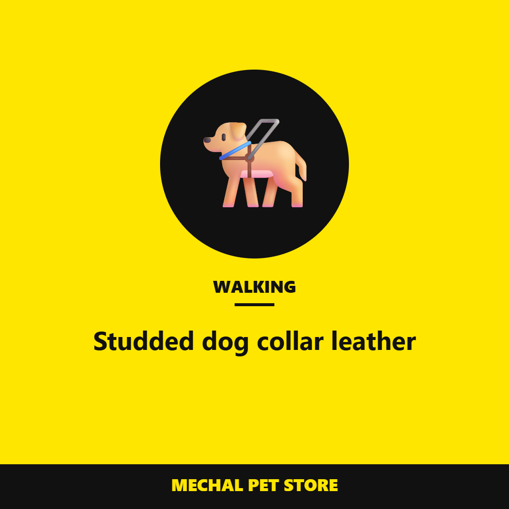 Studded dog collar leather