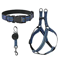 Leash+harness+collar