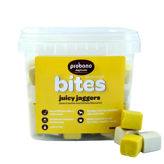 Probono Semi-Moist Juicy Jaggers dog treats in peanut butter and banana flavor 500g