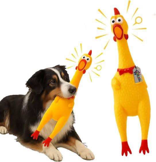 Dog toy squeaky chicken M 30cm
