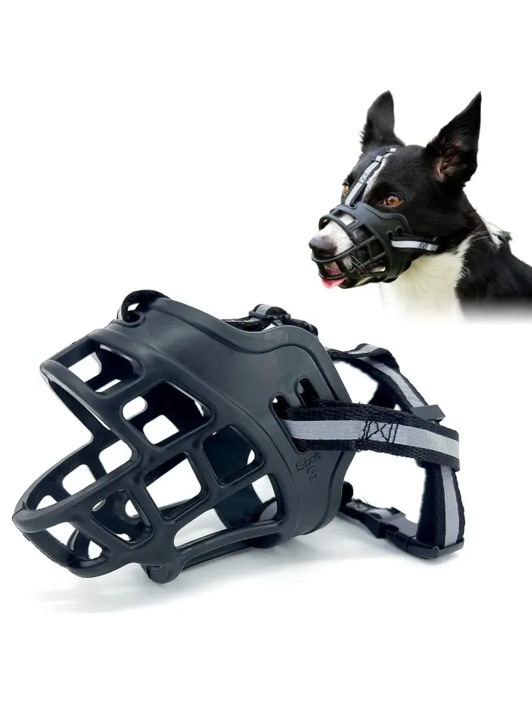 Dog muzzle