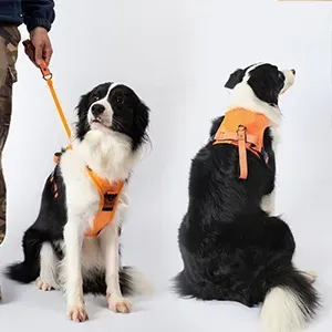 All in one dog harness&leash large
